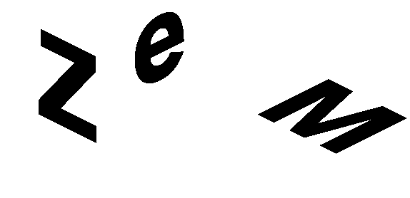 Logo ZEM