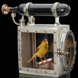 Kanarienvogel im Käfig zur Erkennung von "Bösem Wetter" im Bergbau