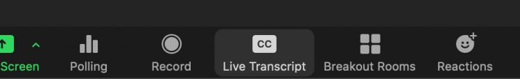 Screenshot of Zoom control bar, Live Transcript (CC)